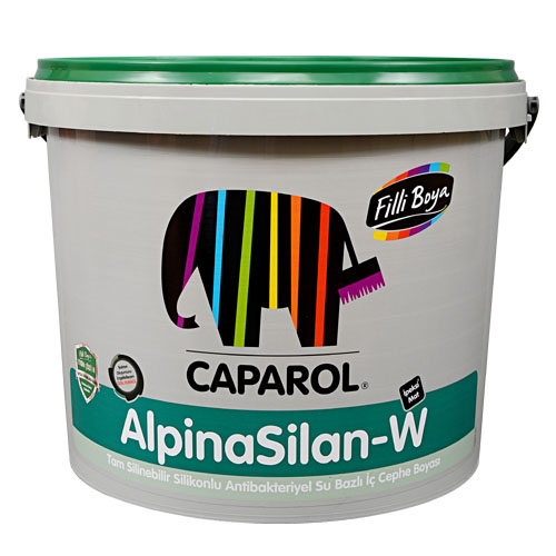 FİLLİ ALPİNA SİLAN-W İÇ CEPHE 20/1